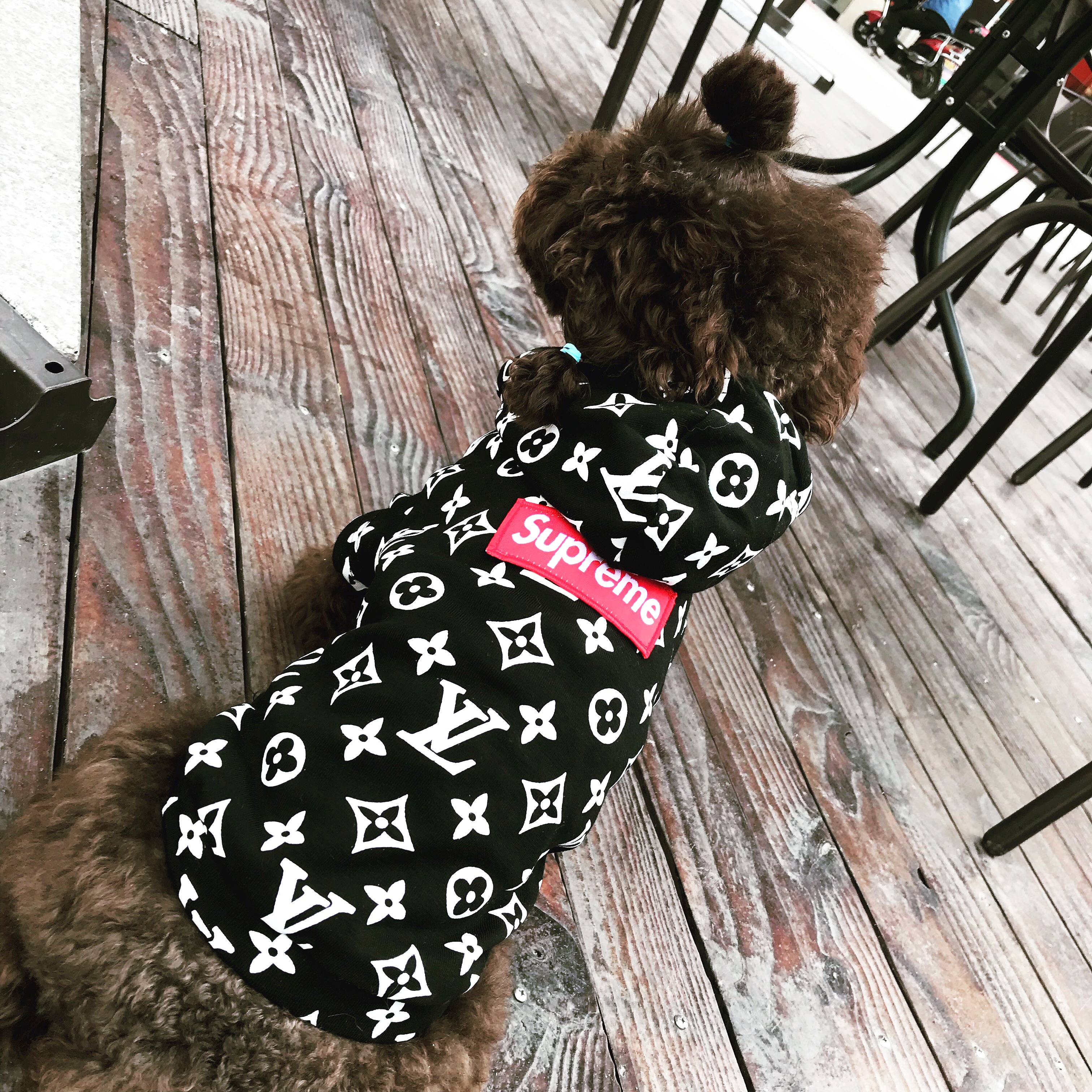 Dog Clothes black printed colour cotton summer T-Shirt lv supreme