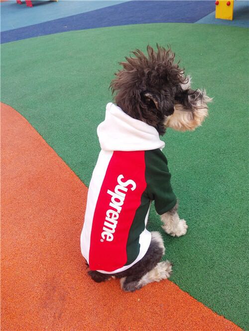 シュプリーム 犬服 パーカー スプライス ファッション supreme ペット