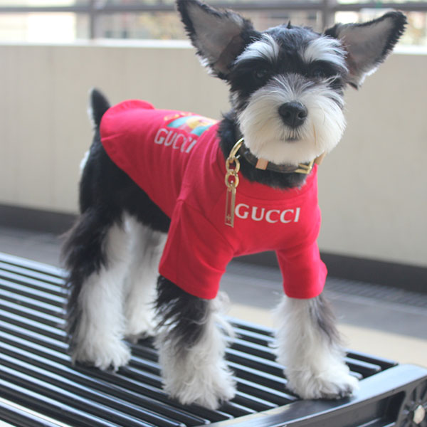 グッチ 犬服 ドッグウェア 犬用Tシャツ ブラント ペット服 GUCCIロゴt