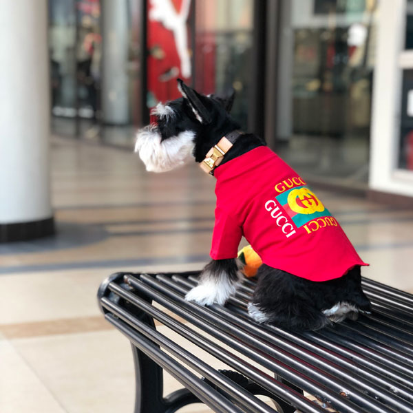 グッチ 犬服 ドッグウェア 犬用Tシャツ ブラント ペット服 GUCCIロゴt