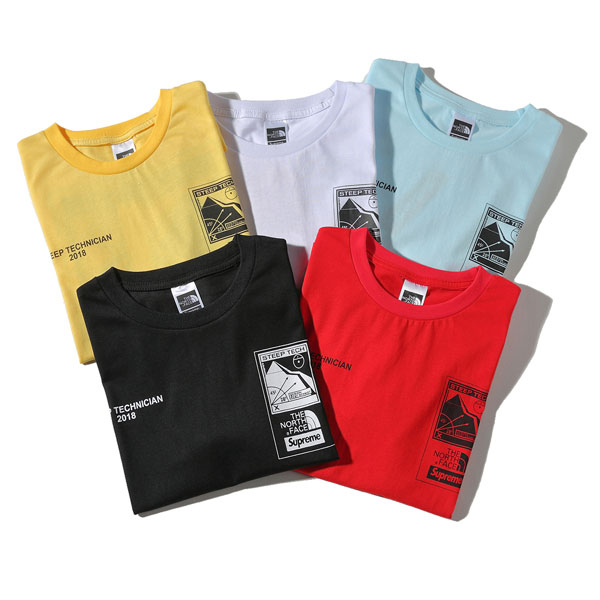 シュプリーム ノースフェイス Tシャツ 19SS Supreme×THE NORTH FAC