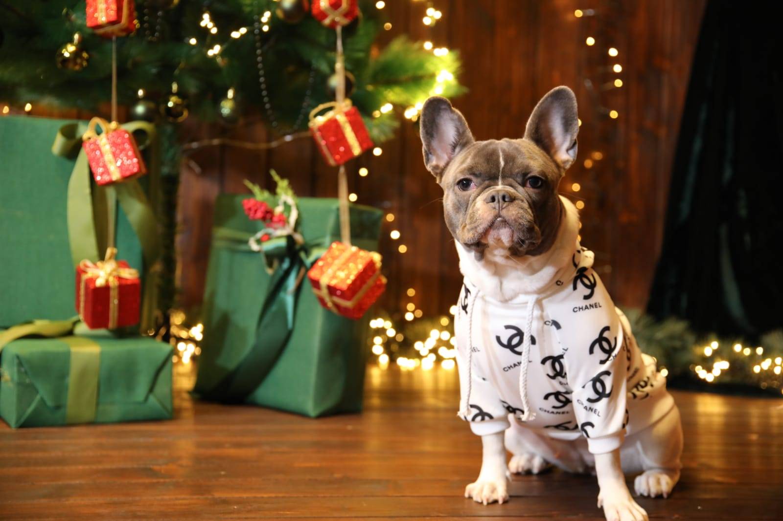 ブラント ペット服 シャネル 犬の服 ドッグ ウェア CHANEL 犬の