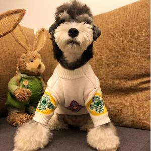 グッチ アディダス コラボ ペット服 犬セーター ブランド GUCCI