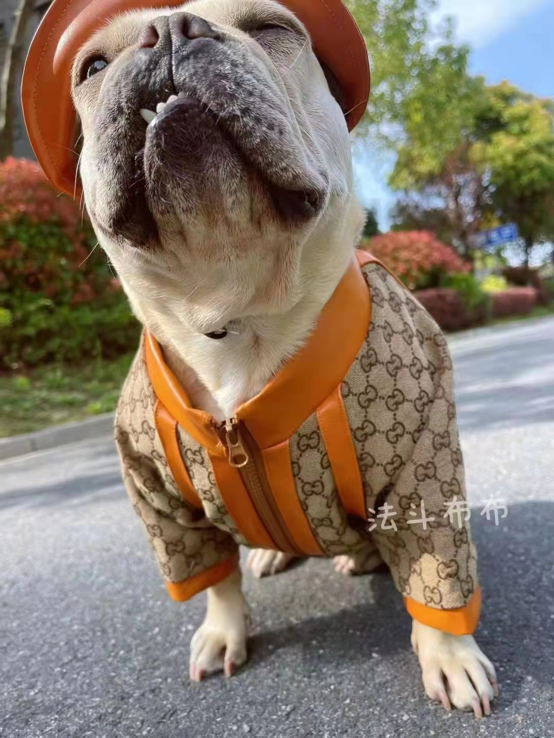 グッチ ペット服 犬服 帽子付き グッチ ドッグウェア 犬猫服 犬