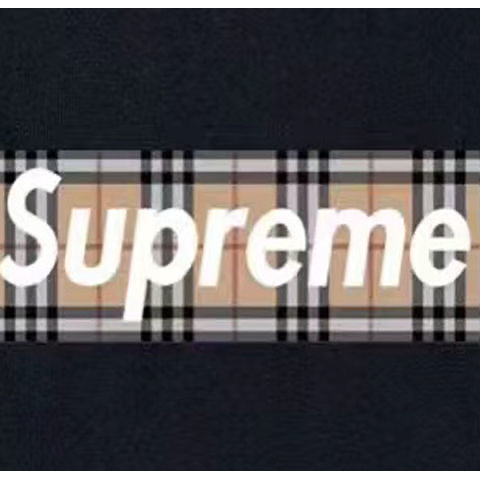 Supreme x Burberry 22SS Box Logo Tee ボックスロゴ Tシャツ 男女兼用
