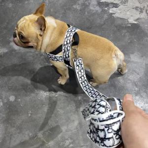 uenoshitako　FENDI首輪&FENDIハーネスリード FENDI(フェンディ) 首輪・ハーネス・リード(ライフスタイル